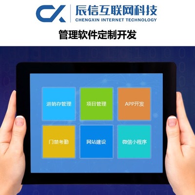 辰信互聯(lián)網(wǎng)科技 專業(yè)企業(yè)軟件開發(fā)，驅(qū)動(dòng)數(shù)字化未來
